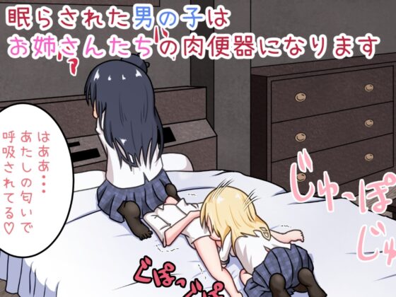 男の子がお姉ちゃん達に拉致されて肉便器にされるお話 [えちえち大福] | DLsite 同人 - R18