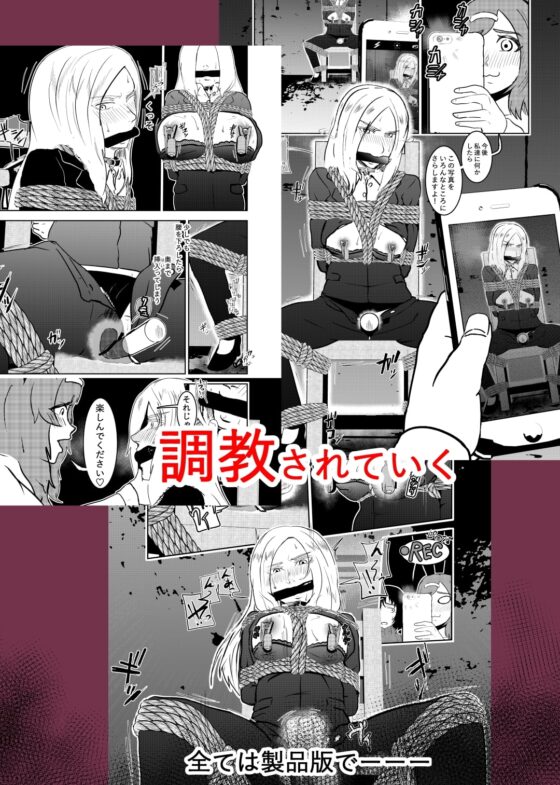 潜入したら捕縛されちゃいました。3 [トンテン] | DLsite 同人 - R18