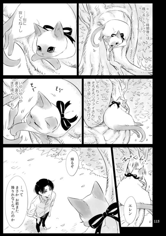 My Dear Little Kitty [西のグスタフ] | DLsite がるまに