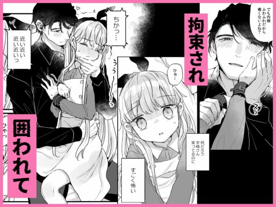 そんな愛ならいらない〜アリスなんかじゃないのに隣のお兄さんがアリスってよんできてなんか怖い〜