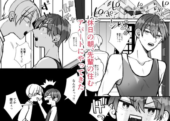 先輩の乳首がえっちすぎると聞いたので [ふふばこ] | DLsite がるまに