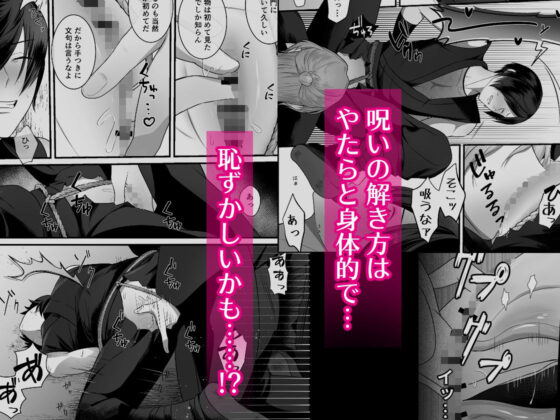 忍辱妊封譚〜アソコが呪われたので噂の僧侶に抜いてもらう〜