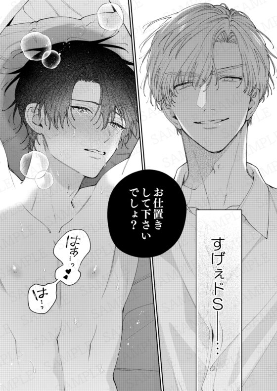 HIDA HIDA [pumm.] | DLsite がるまに