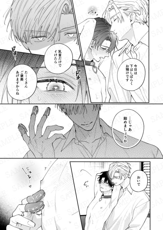 HIDA HIDA [pumm.] | DLsite がるまに