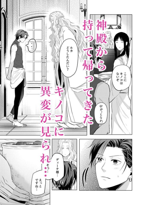 性の神の眷属は大変です2