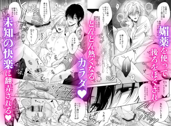 ご主人様の堕とし方～転生した悪役令息は溺愛騎士の執着から逃げられない～ [うみれ] | DLsite がるまに