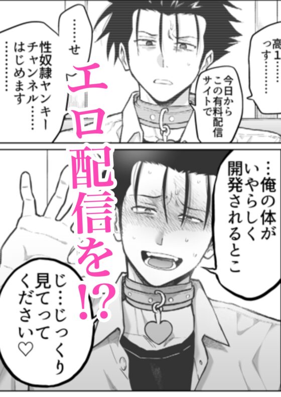 性奴○ヤンキーくん陵○チャンネル [二段階左折] | DLsite がるまに