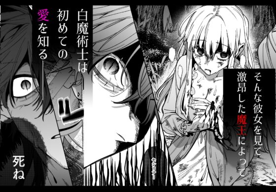 ずたぼろ白魔術師、天然魔王さまの愛玩ペットに堕ちる [梅ねぎ大明神] | DLsite がるまに