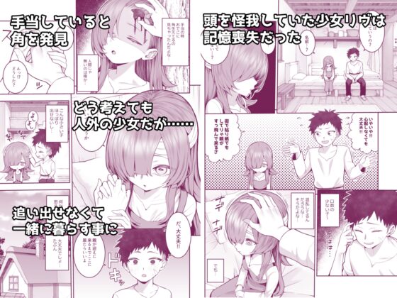 記憶喪失の娘を拾ったらサキュバスだった [マシュマロ風船] | DLsite 同人 - R18