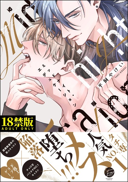 ミッドナイト・エデュケーション【極】 【電子限定かきおろし漫画3P付】