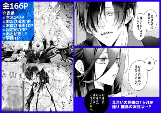ターシャリトランスストレンジ＊人生負け知らずの俺が唯一勝てなかった相手と10年後に再会して見合い（1ヵ月同棲）する話