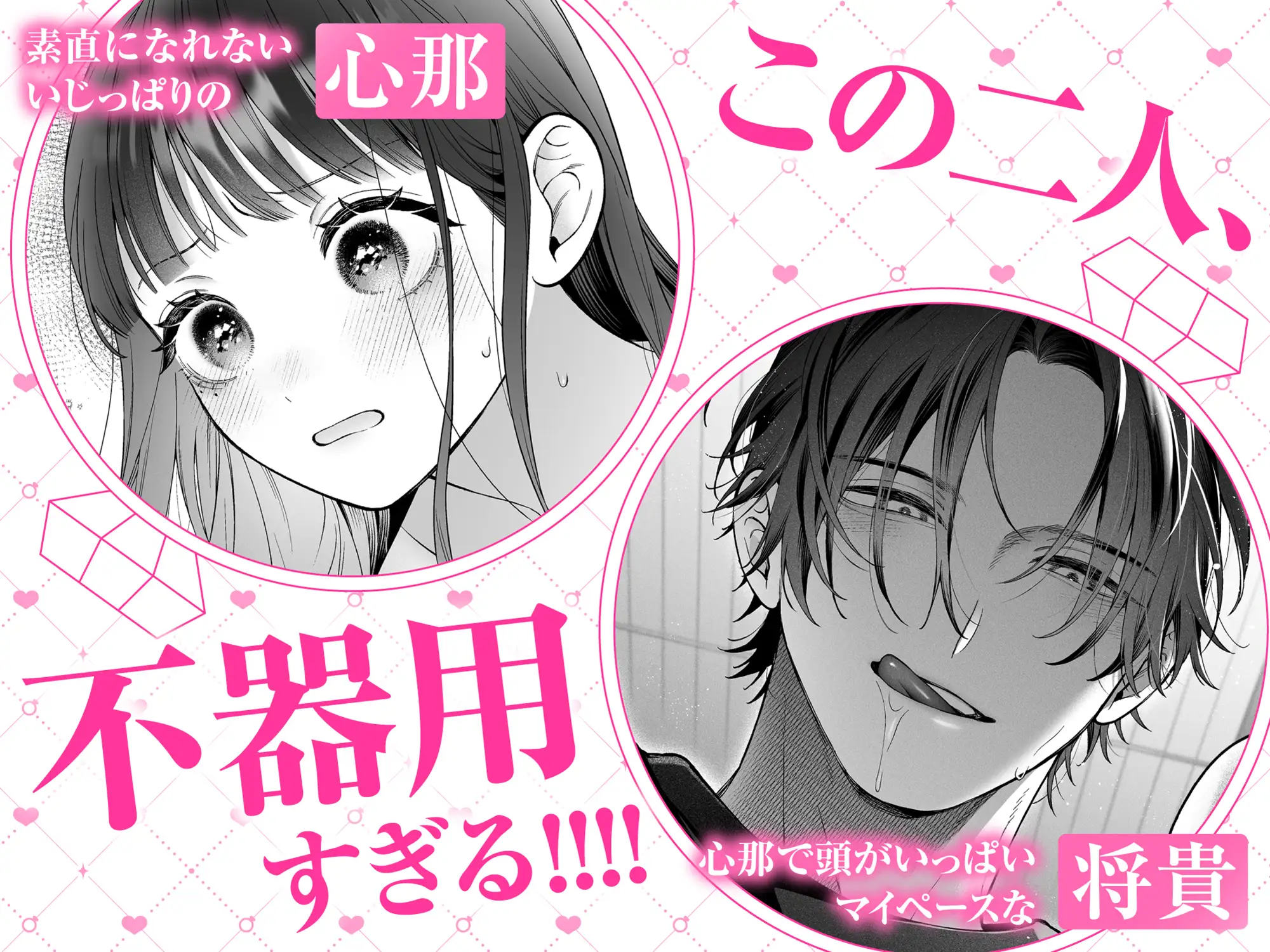 続・会いに行った裏アカ男子が大嫌いな婚約者で詰んだ。 [chucopero] | DLsite がるまに