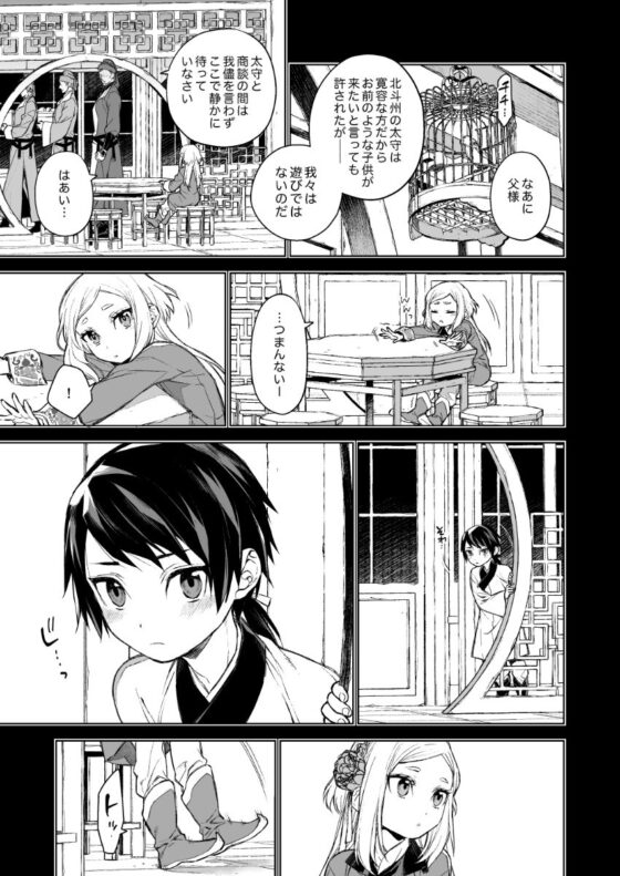 燕嵐閨中顧話