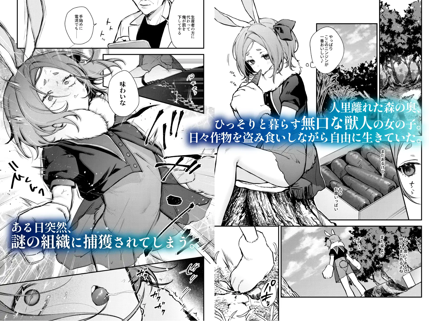 性奴○適性テスト 耐えきった先に待つ地獄 [ビーンズ豆] | DLsite 同人 - R18