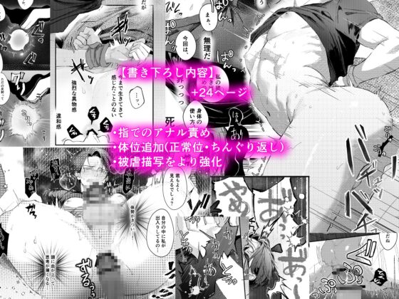 【第2夜編】『貴方に従い、貴様に抗う。』〜絶対に堕ちない気高い剣聖が、交換条件で嫌いな主君に屈辱的に犯される漫画〜 [玉響どろう] | DLsite がるまに