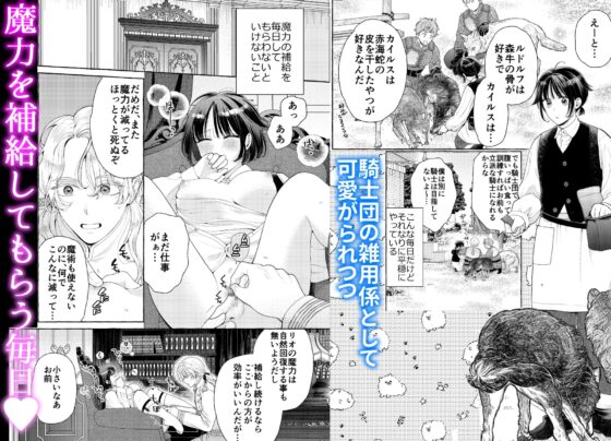 騎士団のわんわん [夜光] | DLsite がるまに