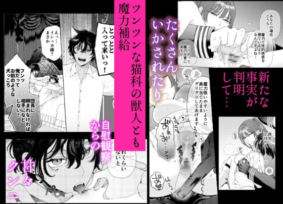 騎士団のわんわん [夜光] | DLsite がるまに