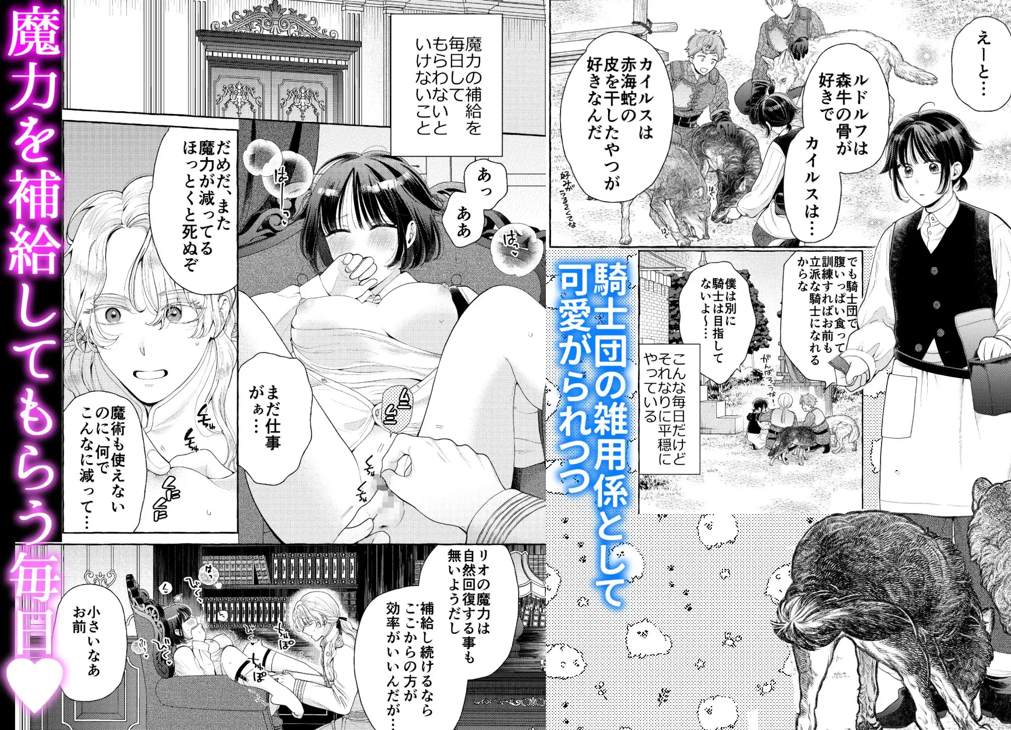 騎士団のわんわん [夜光] | DLsite がるまに