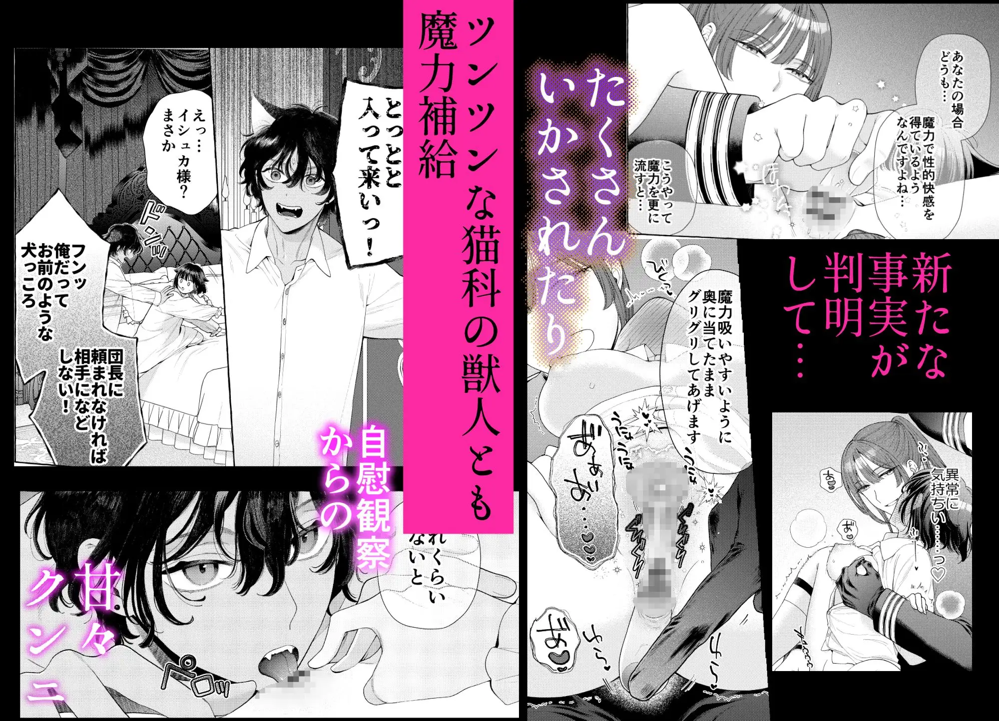 騎士団のわんわん [夜光] | DLsite がるまに
