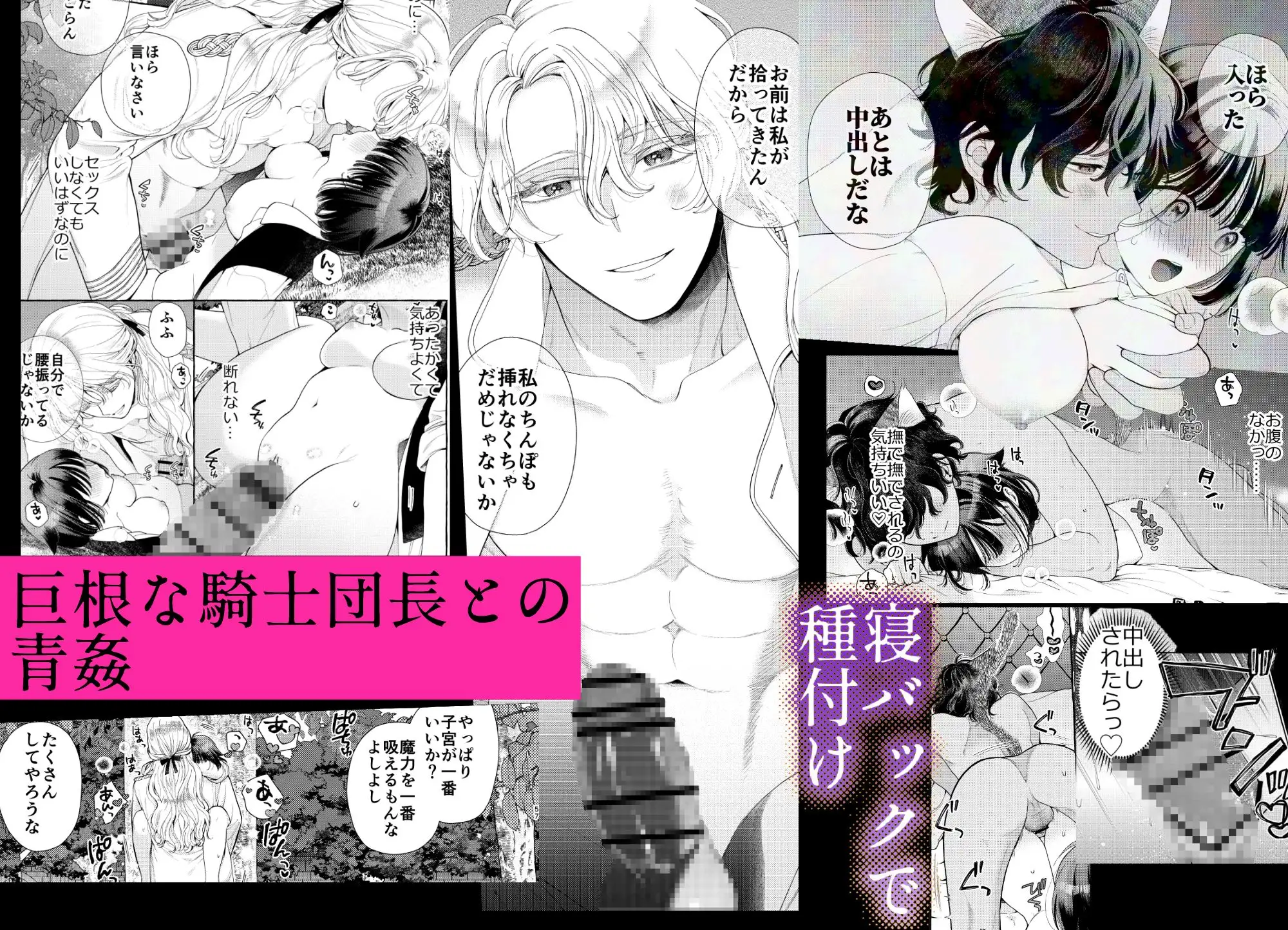 騎士団のわんわん [夜光] | DLsite がるまに