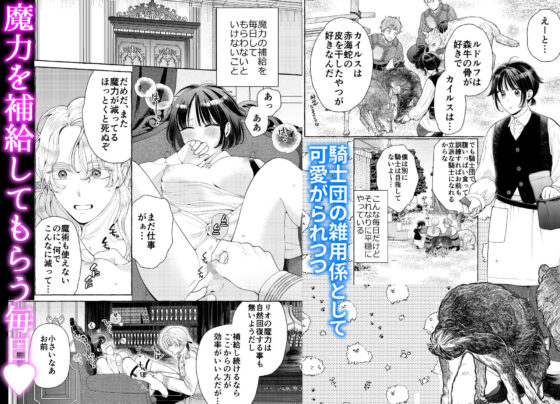 騎士団のわんわん