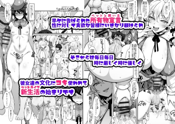 淑女の里は明るく豊かで皆様とっても優しいです～職業冒険者の長命で異文化な新生活～ [ミニチュアキマイラ1/24] | DLsite 同人 - R18
