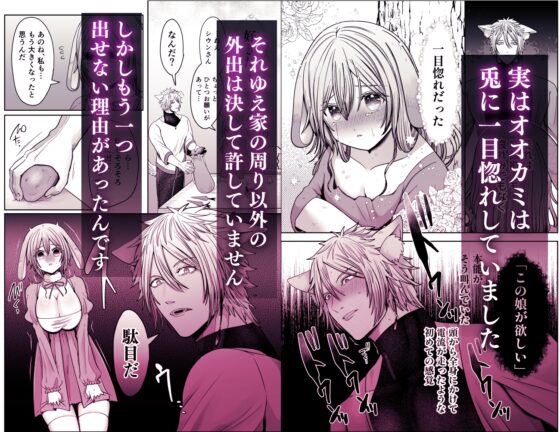 劣情狼と発情うさぎ ─治療という名の強○孕ませセックス─ [となりの部屋] | DLsite がるまに