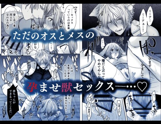 劣情狼と発情うさぎ ─治療という名の強○孕ませセックス─ [となりの部屋] | DLsite がるまに