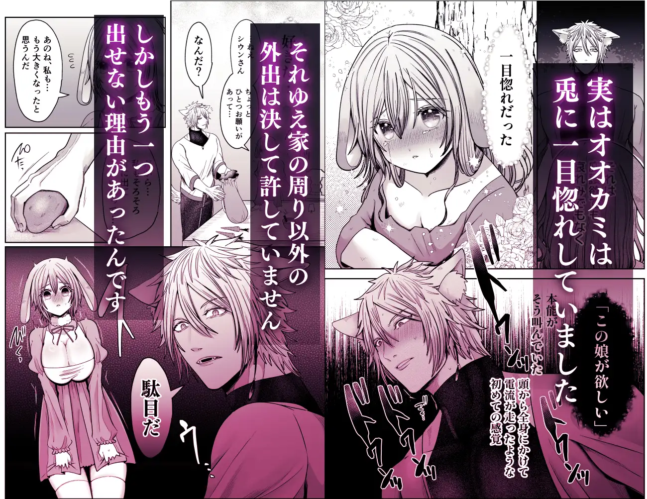 劣情狼と発情うさぎ ─治療という名の強○孕ませセックス─ [となりの部屋] | DLsite がるまに