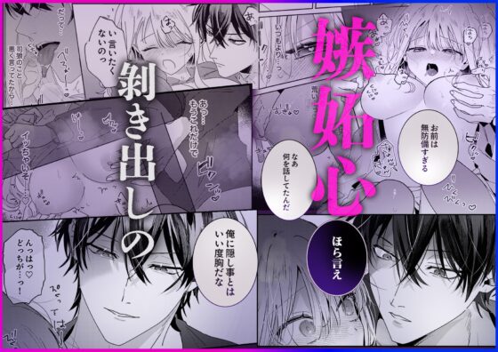 絶倫社長の愛玩うさぎ～性欲の強い男女がセックスしたら?～2 [ラブぷらねっと] | DLsite がるまに