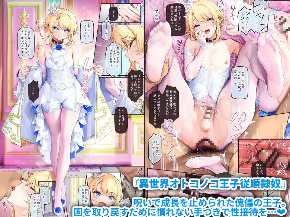 異世界オトコノコ雌堕ち調教記総集編2 [新生フロンティア(新生ロリショタ)] | DLsite 同人 - R18